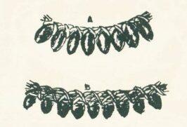 Pulseira de sementes
